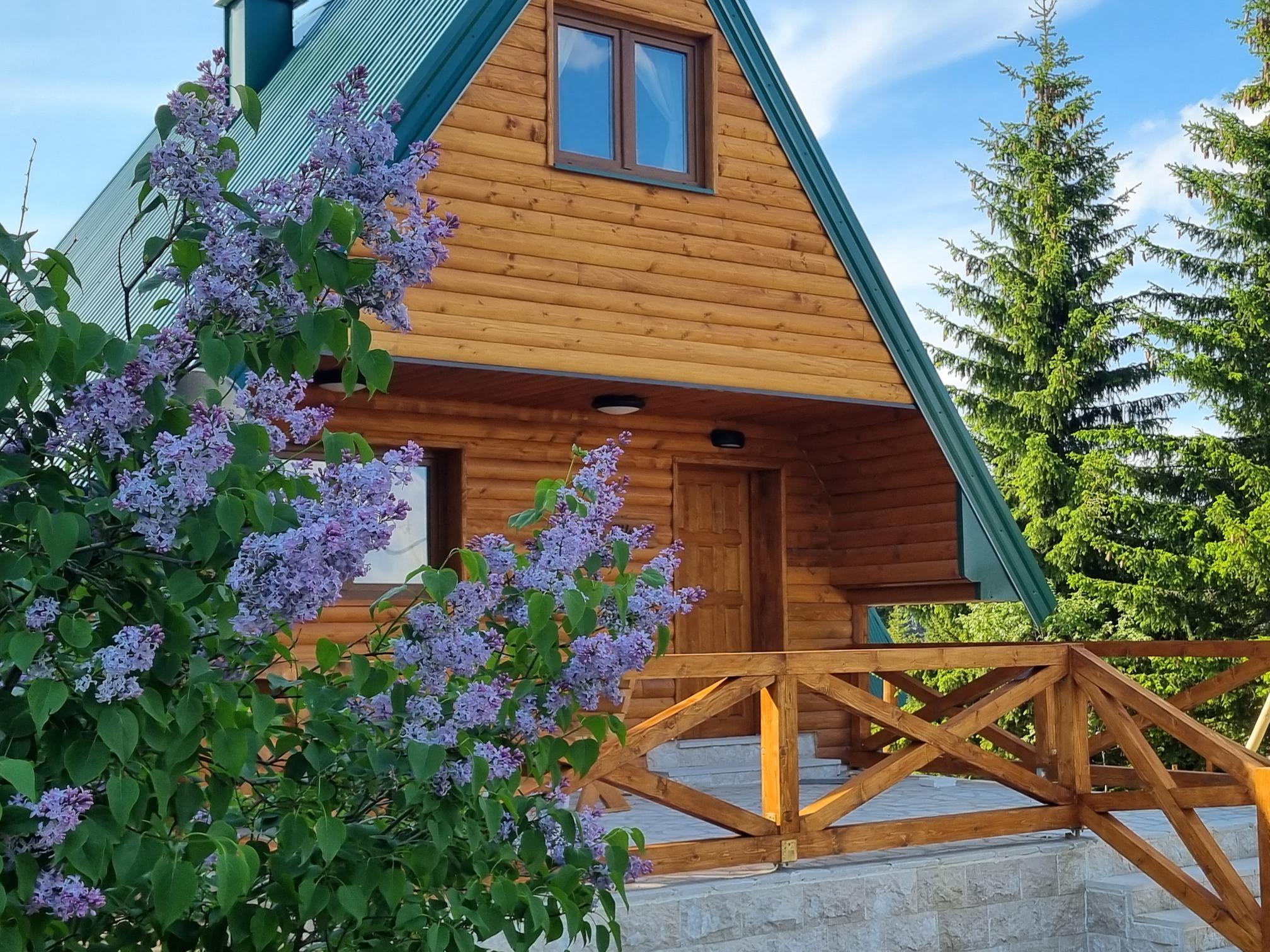 Glavni prikaz apartmana Fika